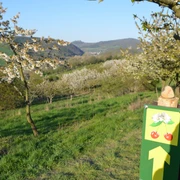#herzverlieren in der Obstbauversuchsanlage mit Zweiburgenblick am KWW1+2(c)Claudia Krabbes