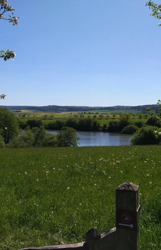 Naturschutzgebiet Hengstwiese Naumburg