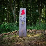 Rundweg im Waldpark Schloss Riede