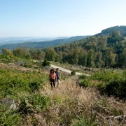 RegionKasselLand_2009-09-27_6422_1
