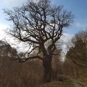 Historischer Rundweg Flachsröste