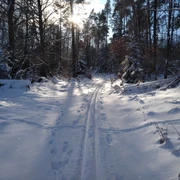 Winter im Ski und Loipenpark am Eisenberg