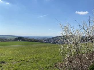 TK1 Landschaft