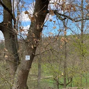 Terrainkurweg TK2 Beschilderung