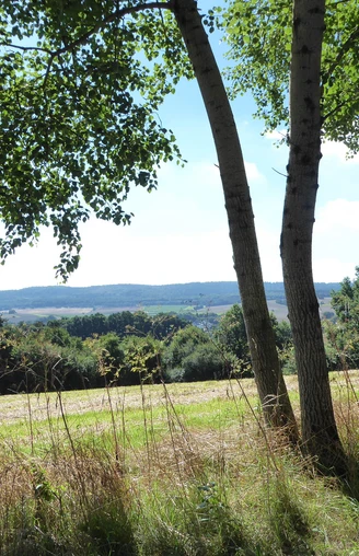 Pilgern mit Blick ins Fuldatal