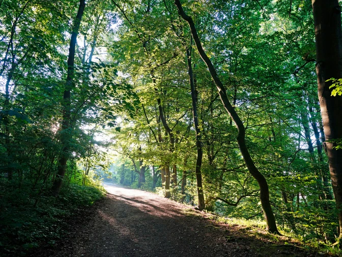 Kassel Wanderweg bei Prinzenquelle
