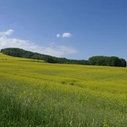 Pfad 3 Ausblick