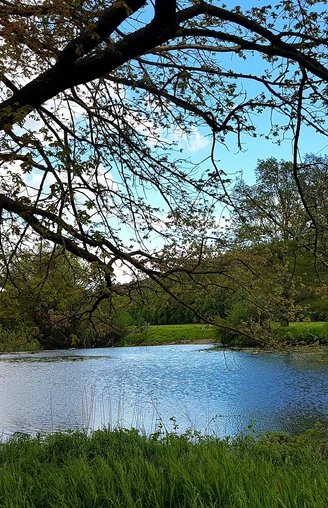 An der Fulda