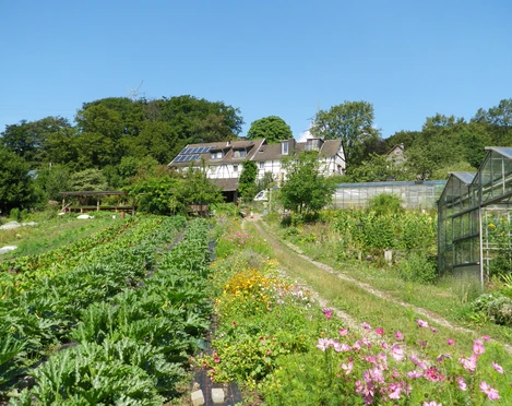 Örkhof im Windrather Tal bei Velbert-Langenberg Historischer Bauernhof mit Solarpanelen, umgeben von Feldern, Blumen und einem Gewächshaus im Hintergrund.