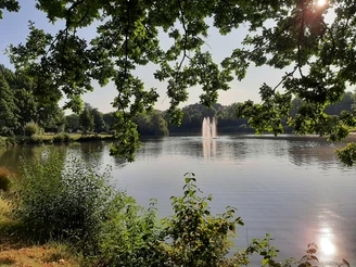 Ein ruhiger See mit springendem Wasserfontäne, im Vordergrund von grünen Zweigen umrahmt.