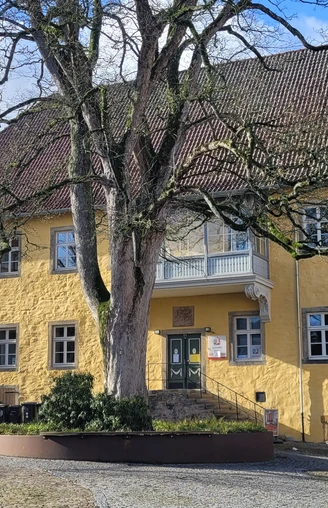 Burgmannshof Gelbes Steingebäude mit Fassade, zentralem Baum, blauen Fensterläden und Kopfsteinpflaster.