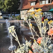 Springbrunnen mit Wasserspielen, Blumen im Vordergrund, historisches Fachwerkgebäude im Hintergrund.