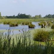 Meerbruch  OLYMPUS DIGITAL CAMERA