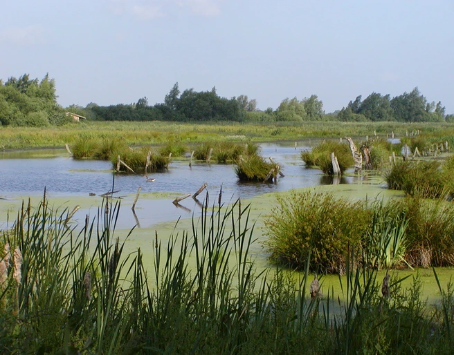 Meerbruch  OLYMPUS DIGITAL CAMERA