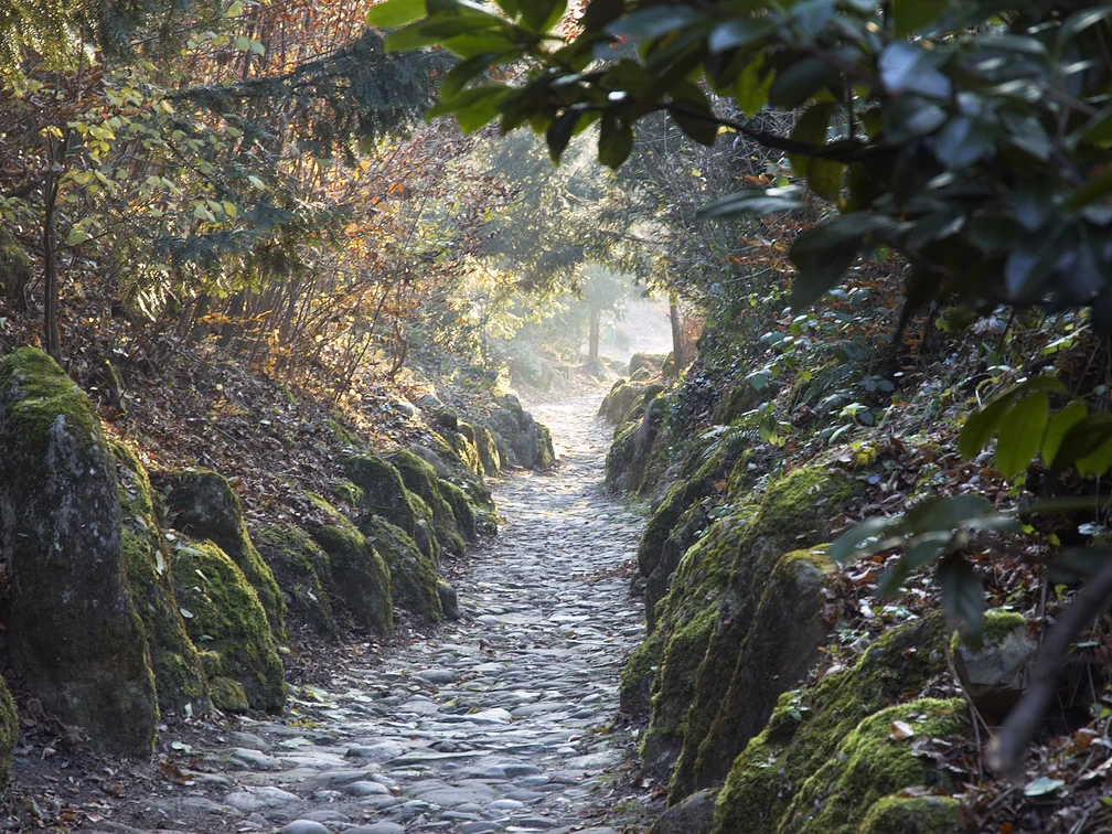Hohle Gasse