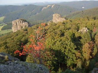 Die Bruchhauser Steine