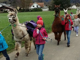 lamatrekking-jungfrauregion-lamas-kinder-unterwegs-wilderswil.jpg