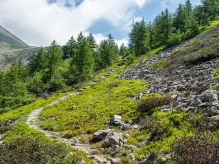 kurz vor dem Monscerapass