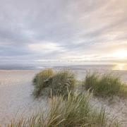 Strand-Schillig-Oliver Franke.jpg