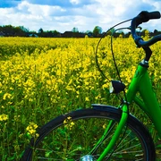 POI_Fahrradverleih-Hooksiel.jpg