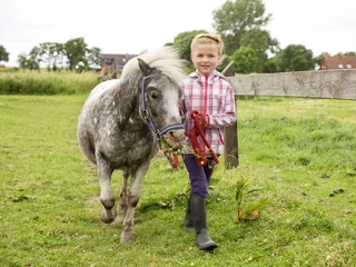 POI_Frieslandstern-Reiten-Schillig.jpg