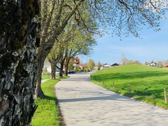 Allee bei Bad Heilbrunn