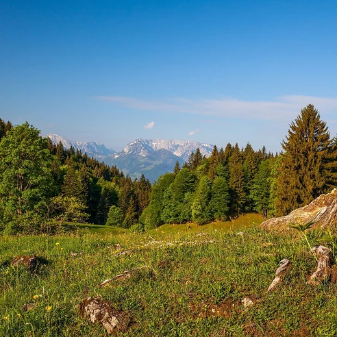 Wetterkreuz Frühling