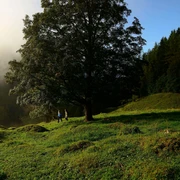 Premiumweg Klausenbachklamm