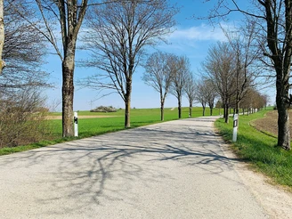 Route Ludwigshöhe