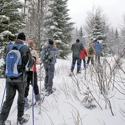 Schneeschuhwandern