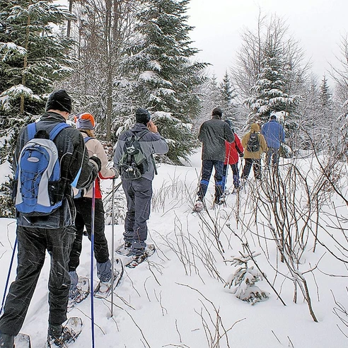 Schneeschuhwandern