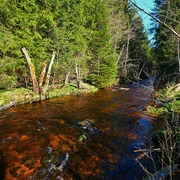 Bachlauf