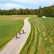Radeln in der Pupplinger Au