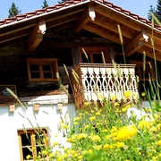 1752504137349-IMG_9851(1)