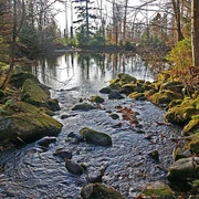 Sagwasserklause