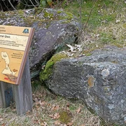 Gesteins-Freigelände