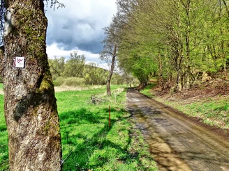 Durchs Salzbödetal