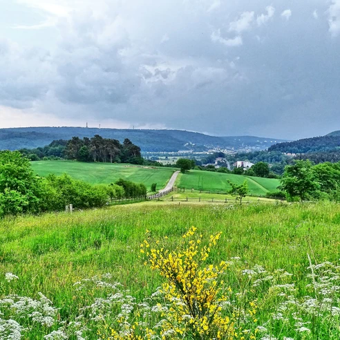 Blick auf Wehrda