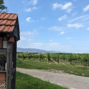 Ausblick auf das Hambacher Schloss