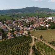Luftbild Böchingen
