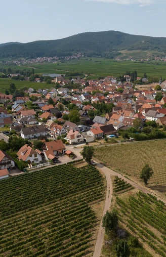 Luftbild Böchingen