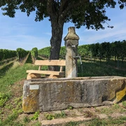Auf der Bank dem Plätschern des Brunnens zuhören