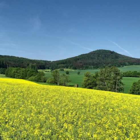 Blick auf den Rimberg