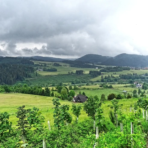 Aussicht ins Lahntal