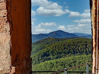 Trifelsblick