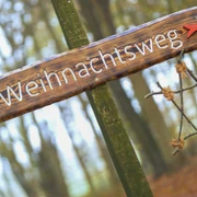 Weihnachtswaldweg_005