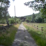 Auf diesem Weg sausen wir dahin.