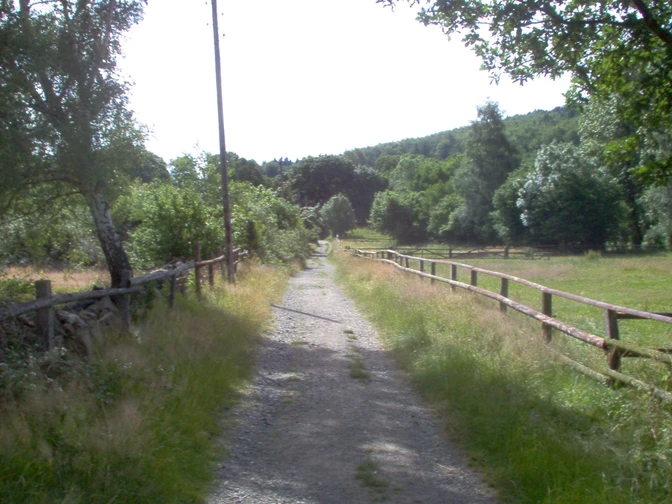 Auf diesem Weg sausen wir dahin.