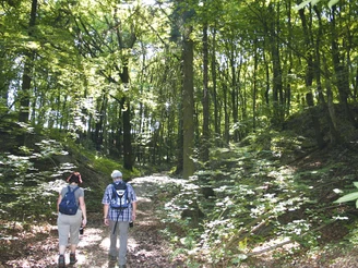 Rundwanderweg "Hainrode"