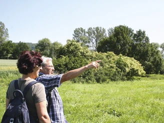 Rundwanderweg "Hainrode"